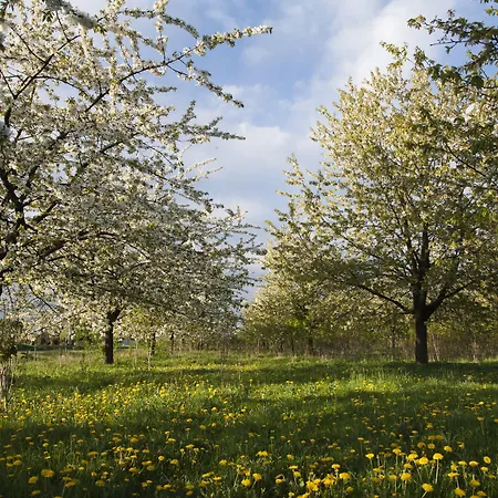 Linge Ξενοδοχείο