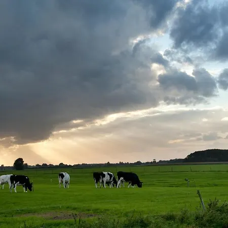Linge Ξενοδοχείο Elst (Gelderland)