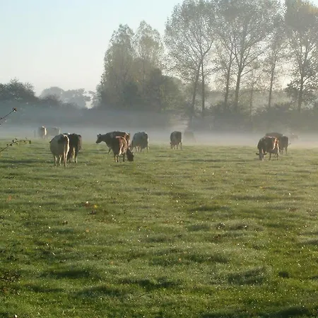 Ξενοδοχείο Linge