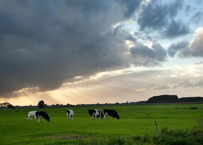 Linge Hotel Elst (Gelderland)