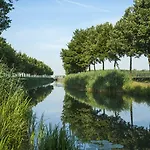 Linge