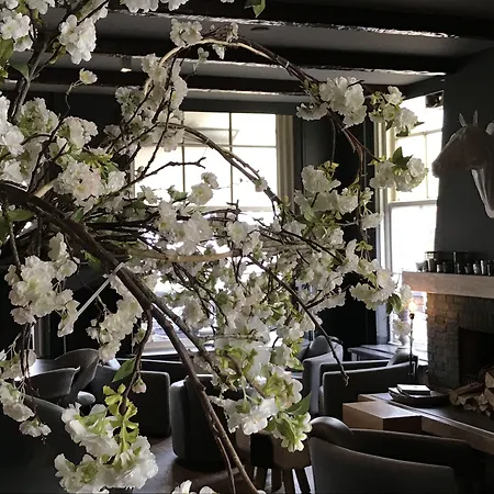 Linge 3* Elst (Gelderland)