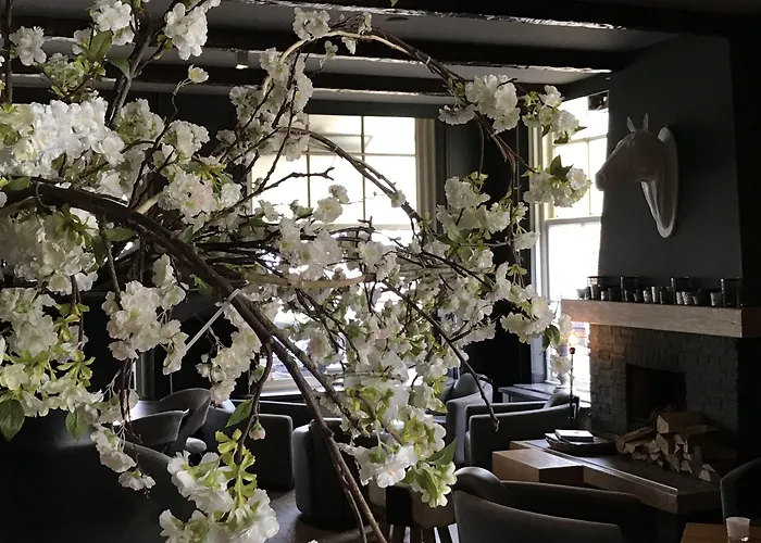 Linge 3* Elst (Gelderland)